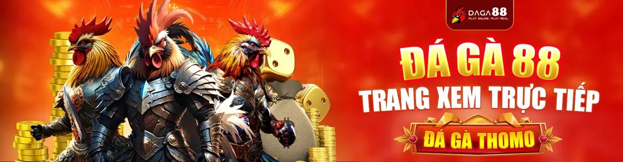 Sân vận động thể thao sôi động với các trận đấu cá cược trực tiếp tại Nohu 09 Chính Thức