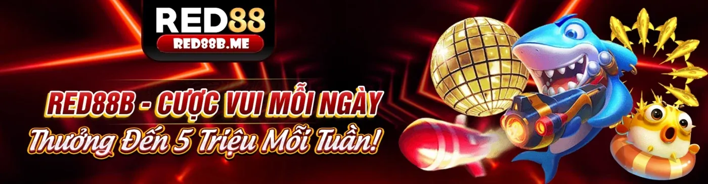 Hoàn trả hàng tuần cho các cược thể thao